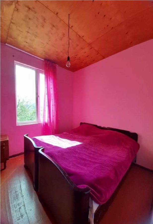 Guest House Malkhaz Niguriani Zhabeshi エクステリア 写真