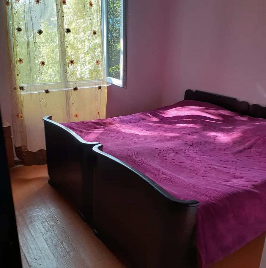 Guest House Malkhaz Niguriani Zhabeshi エクステリア 写真
