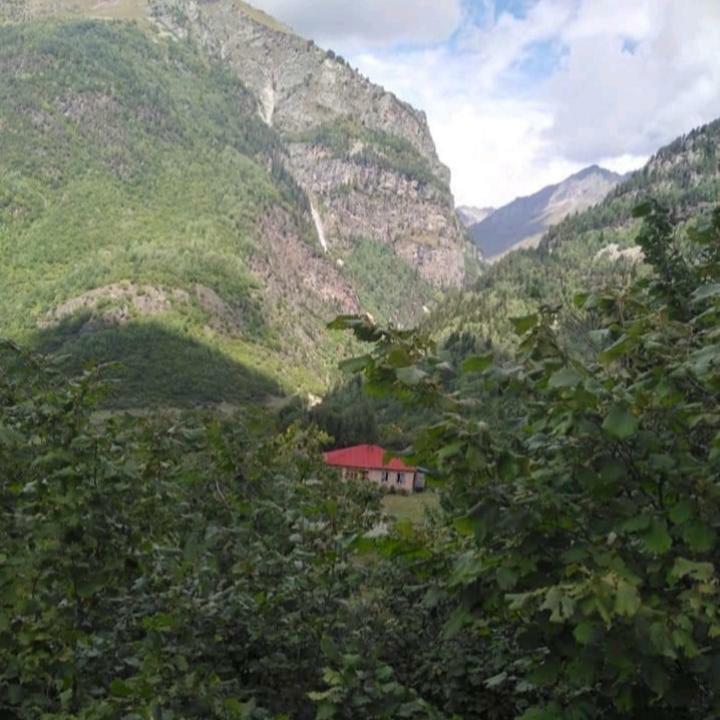 Guest House Malkhaz Niguriani Zhabeshi エクステリア 写真